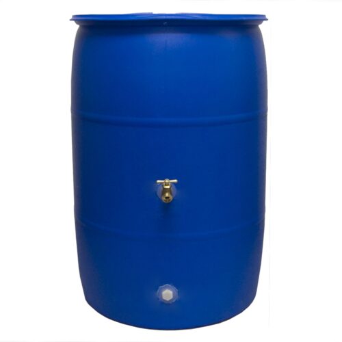 Big Blue 55