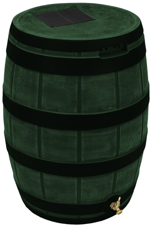 Rain Vault - Darkened Ribs - Green
